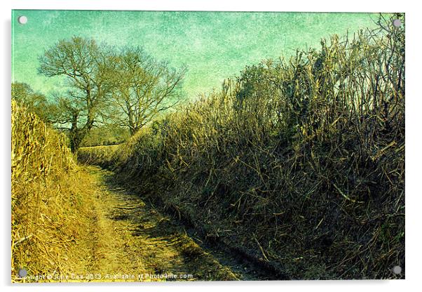 Edgefield Lane Acrylic by Julie Coe