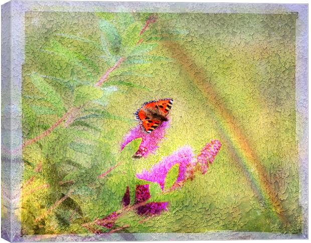 The other side of the  Rainbow Canvas Print by Dawn Cox