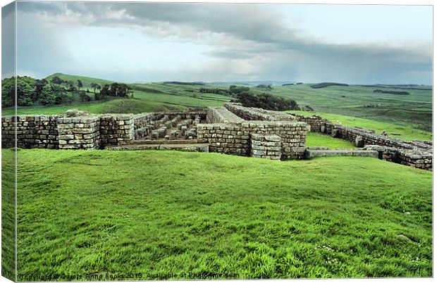 Fort Ruins Along Hadrians Wall Canvas Print by Carole-Anne Fooks