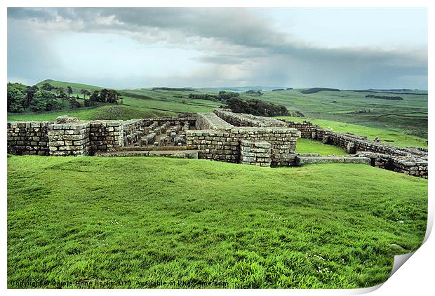 Fort Ruins Along Hadrians Wall Print by Carole-Anne Fooks