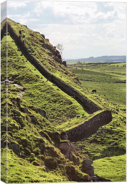 Hadrians Wall Climbing Across The Landscape Canvas Print by Carole-Anne Fooks