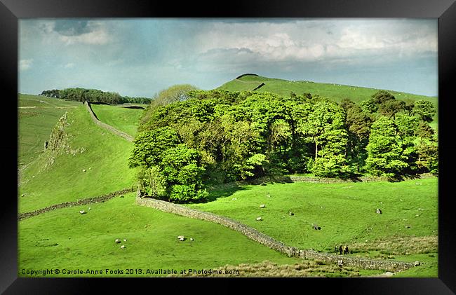 Hadrians Wall Marching Across The Landscape Framed Print by Carole-Anne Fooks