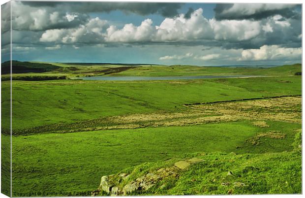 Hadrians Wall In The Landscape Canvas Print by Carole-Anne Fooks