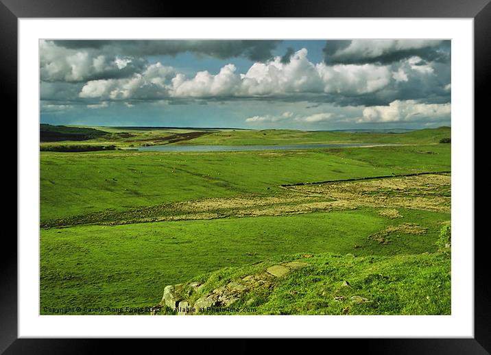 Hadrians Wall In The Landscape Framed Mounted Print by Carole-Anne Fooks