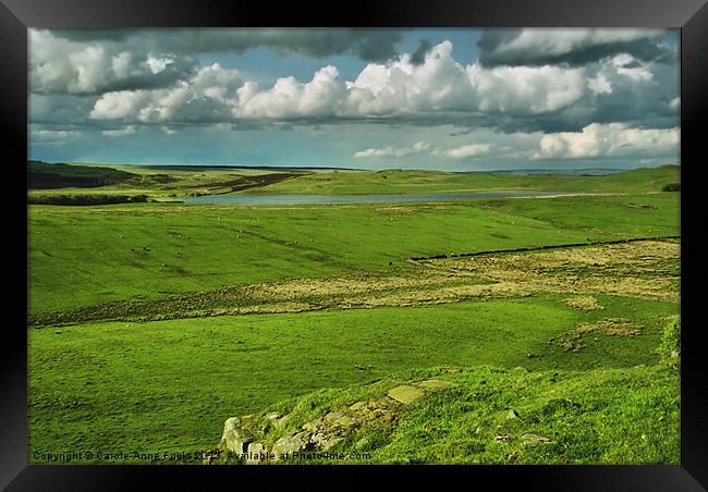 Hadrians Wall In The Landscape Framed Print by Carole-Anne Fooks