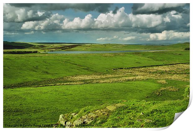 Hadrians Wall In The Landscape Print by Carole-Anne Fooks
