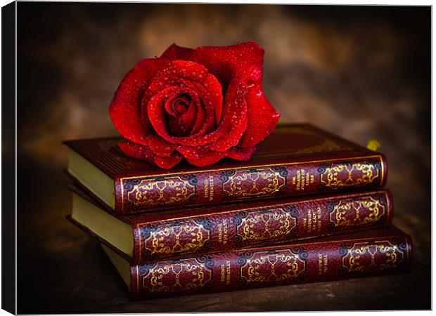 Red Rose Canvas Print by Mark Llewellyn