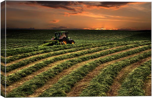 Hay makers sunset Canvas Print by Robert Fielding