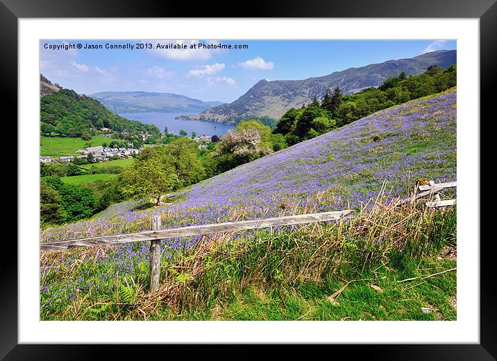 Bluebells Above Ullswater Framed Mounted Print by Jason Connolly