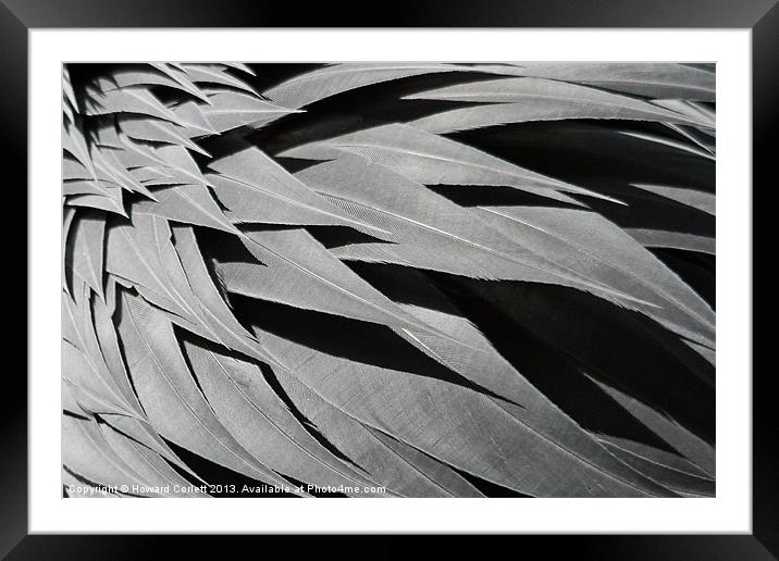 Black feather abstract Framed Mounted Print by Howard Corlett