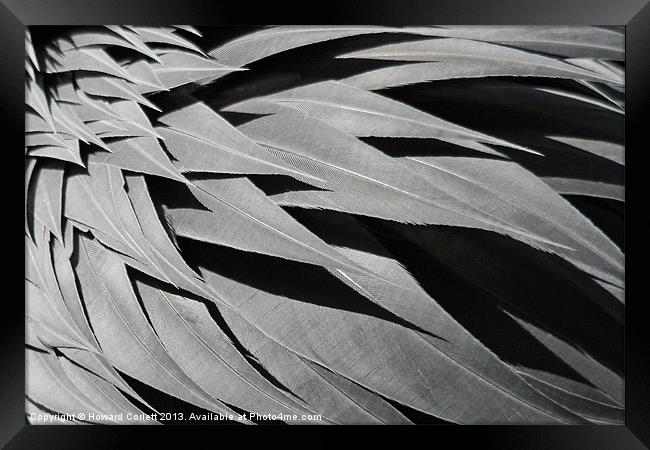 Black feather abstract Framed Print by Howard Corlett