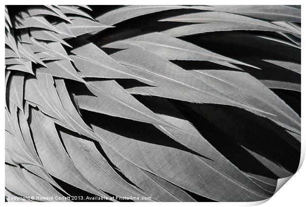Black feather abstract Print by Howard Corlett