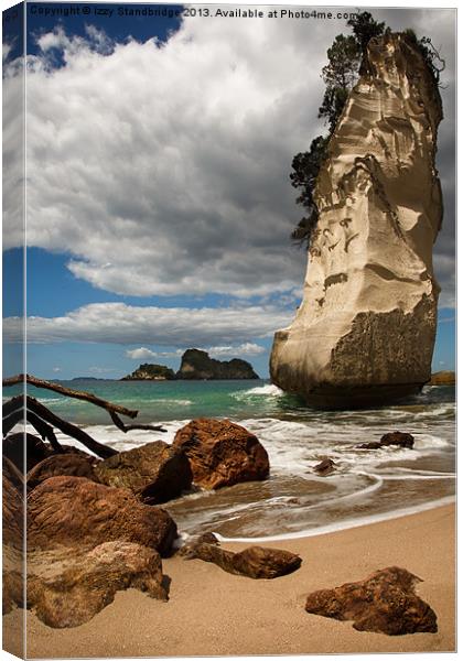 Cathedral Cove Beach, New Zealand Canvas Print by Izzy Standbridge