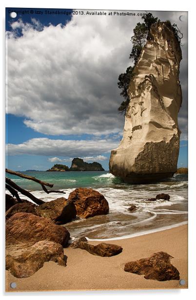 Cathedral Cove Beach, New Zealand Acrylic by Izzy Standbridge
