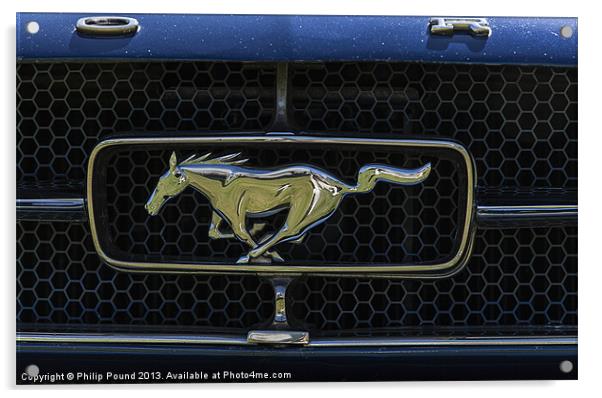 Ford Mustang Car Acrylic by Philip Pound