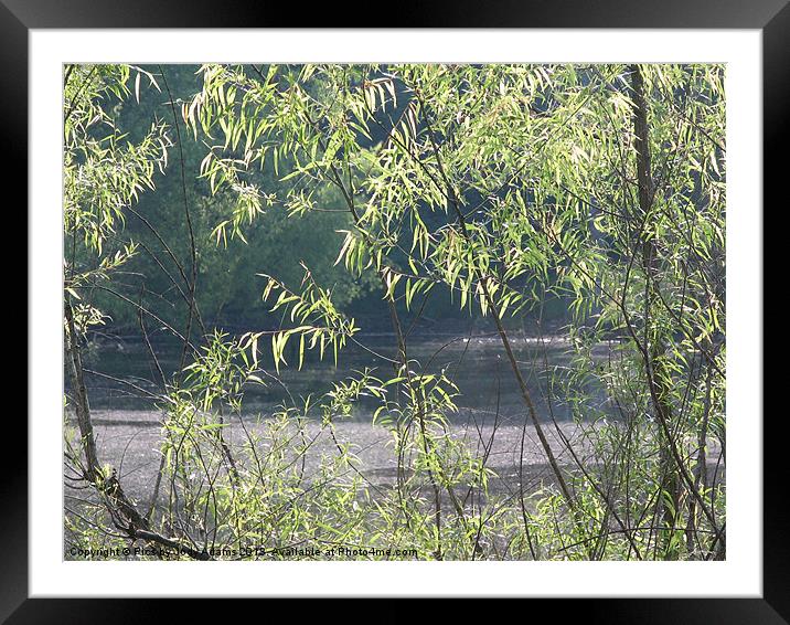 Green before the Pond Framed Mounted Print by Pics by Jody Adams