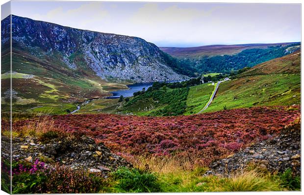 Multicolored Carpet of Wicklow Hills. Ireland Canvas Print by Jenny Rainbow