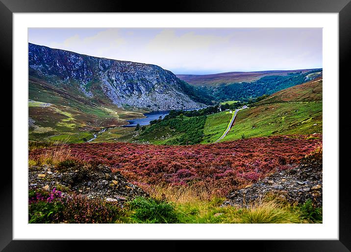 Multicolored Carpet of Wicklow Hills. Ireland Framed Mounted Print by Jenny Rainbow