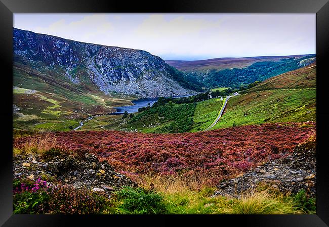 Multicolored Carpet of Wicklow Hills. Ireland Framed Print by Jenny Rainbow
