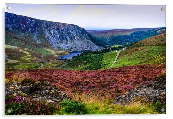 Multicolored Carpet of Wicklow Hills. Ireland Acrylic by Jenny Rainbow