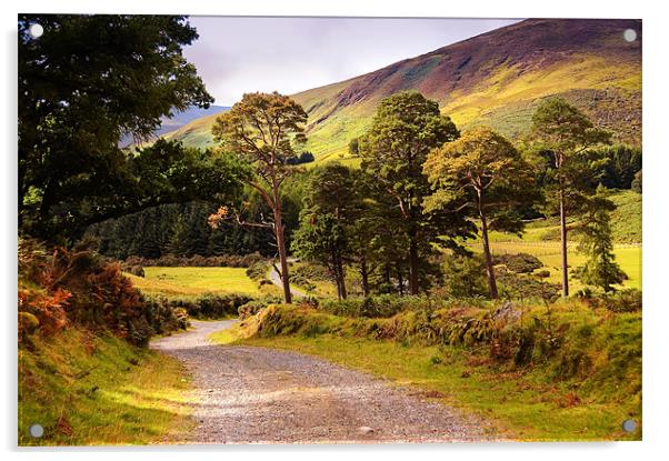 Celtic Spirit. Wicklow  Mountains. Ireland Acrylic by Jenny Rainbow