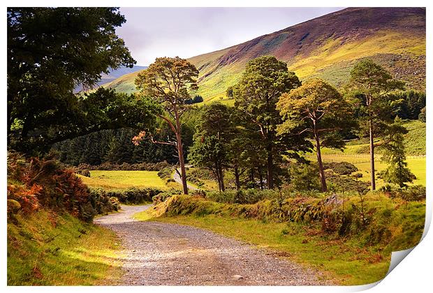 Celtic Spirit. Wicklow  Mountains. Ireland Print by Jenny Rainbow