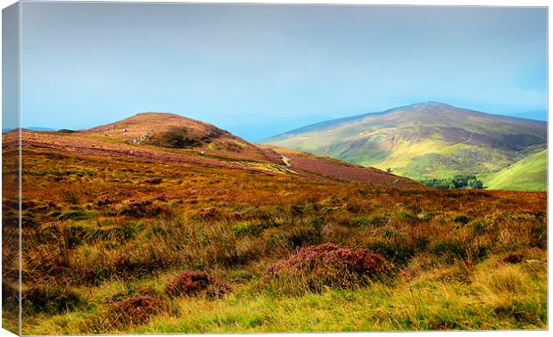 Multicolored Hills of Wicklow I. Ireland Canvas Print by Jenny Rainbow