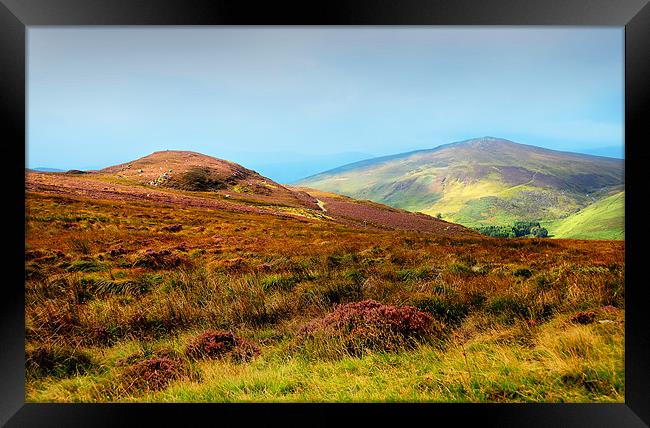 Multicolored Hills of Wicklow I. Ireland Framed Print by Jenny Rainbow