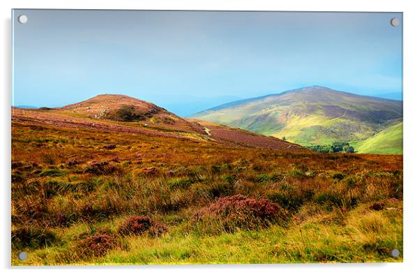 Multicolored Hills of Wicklow I. Ireland Acrylic by Jenny Rainbow