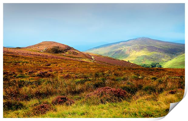 Multicolored Hills of Wicklow I. Ireland Print by Jenny Rainbow