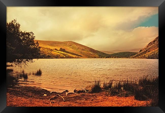 In a Magic Place in a Mystic Mood. Lough Dan. Wick Framed Print by Jenny Rainbow