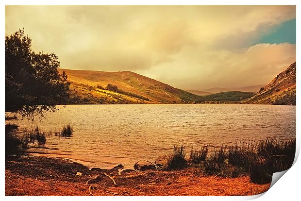 In a Magic Place in a Mystic Mood. Lough Dan. Wick Print by Jenny Rainbow