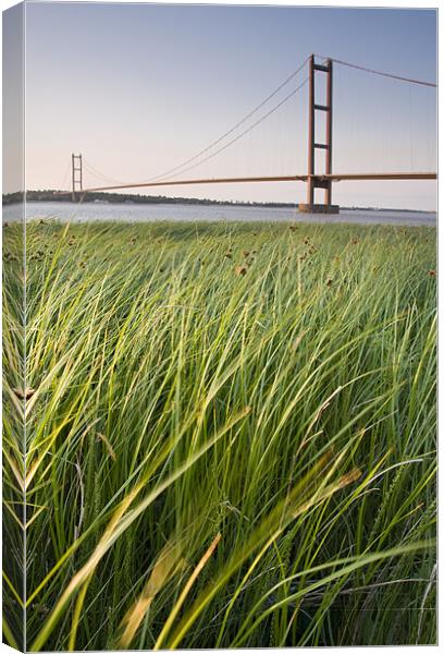 Humber bridge Canvas Print by Leon Conway