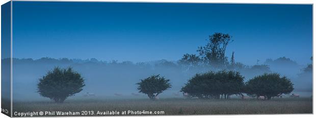 Morning Mist Canvas Print by Phil Wareham