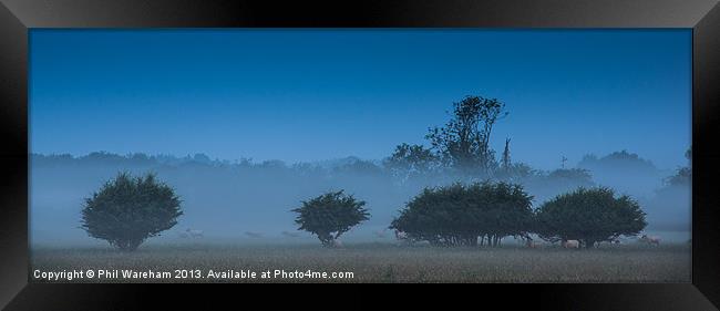 Morning Mist Framed Print by Phil Wareham