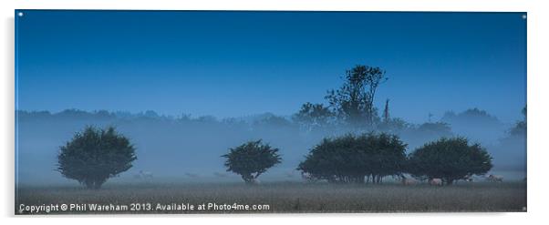 Morning Mist Acrylic by Phil Wareham