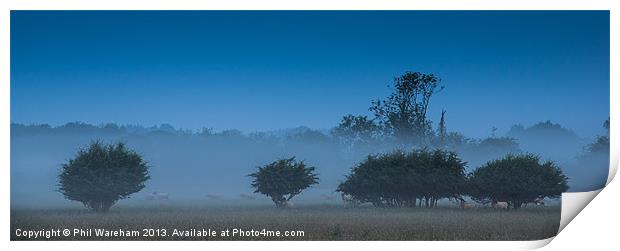 Morning Mist Print by Phil Wareham