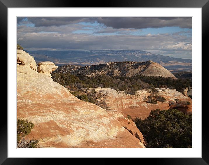 The Grand Mesa from Colorado National Moument Framed Mounted Print by Patti Barrett