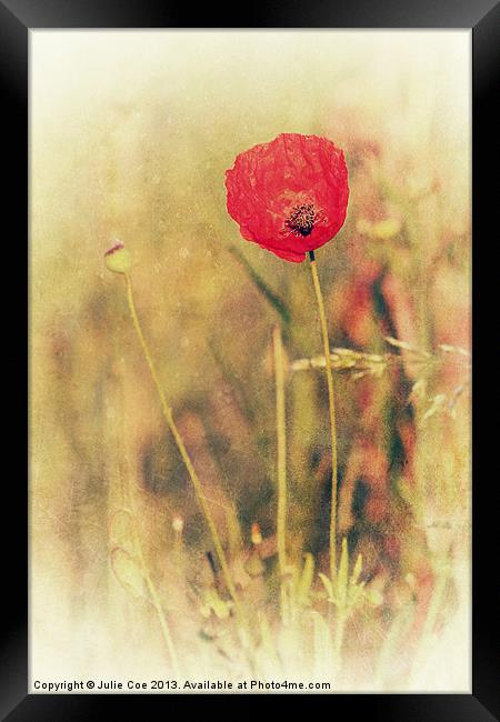 Red Poppy Framed Print by Julie Coe