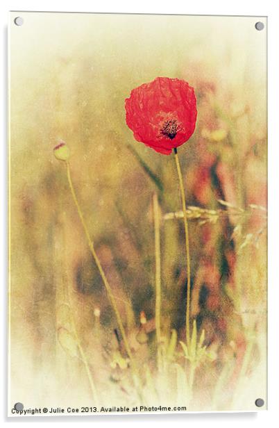 Red Poppy Acrylic by Julie Coe