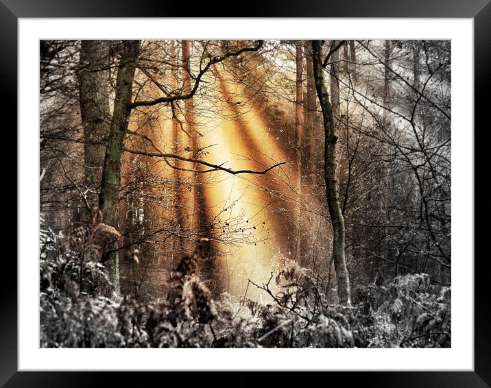 Illumination Framed Mounted Print by Mike Jennings