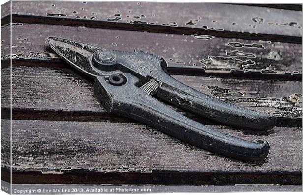 Altered secateurs Canvas Print by Lee Mullins