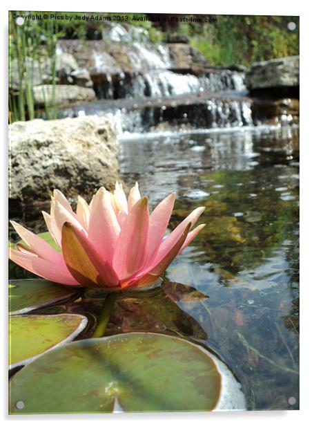 Pink Waterlily and the falls Acrylic by Pics by Jody Adams