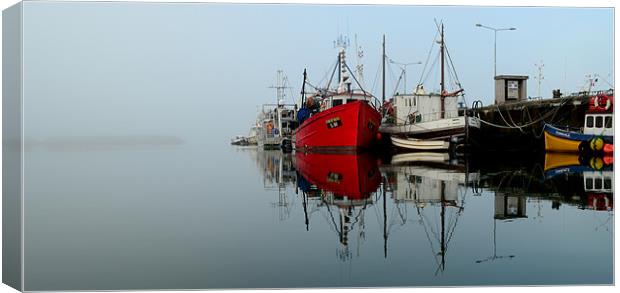 Misty morning Canvas Print by barbara walsh