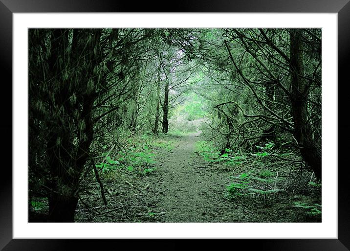 Through the forest arch Framed Mounted Print by Gemma Shipley