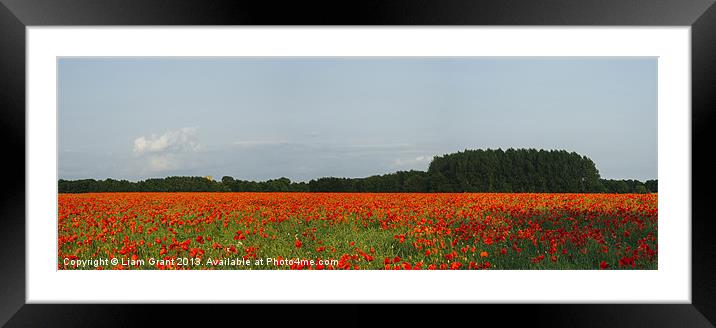 Church and field of poppies in evening light. Framed Mounted Print by Liam Grant