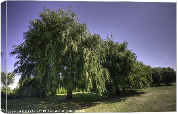 Willow trees Canvas Print by Thanet Photos
