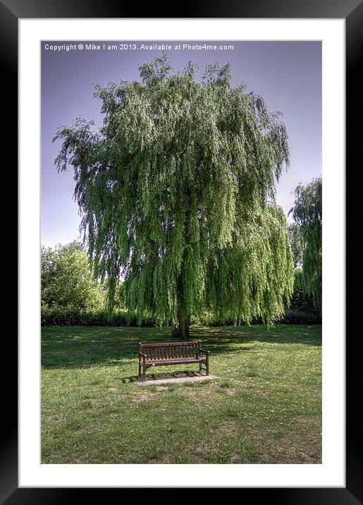 Bench under a willow tree Framed Mounted Print by Thanet Photos