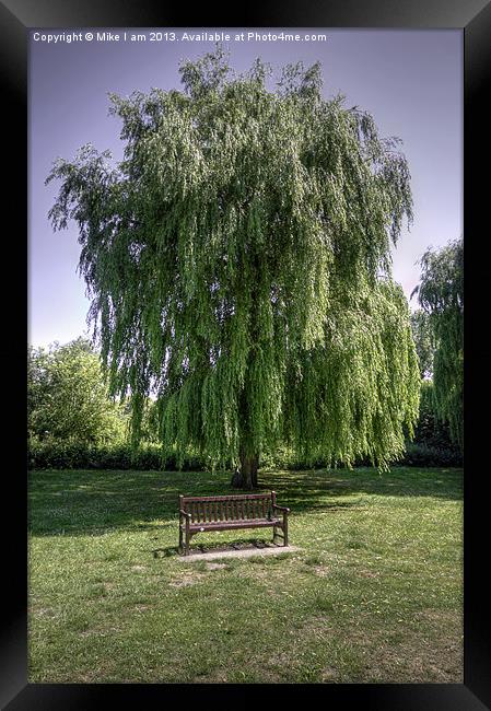 Bench under a willow tree Framed Print by Thanet Photos