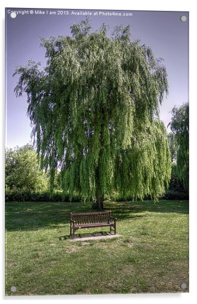Bench under a willow tree Acrylic by Thanet Photos
